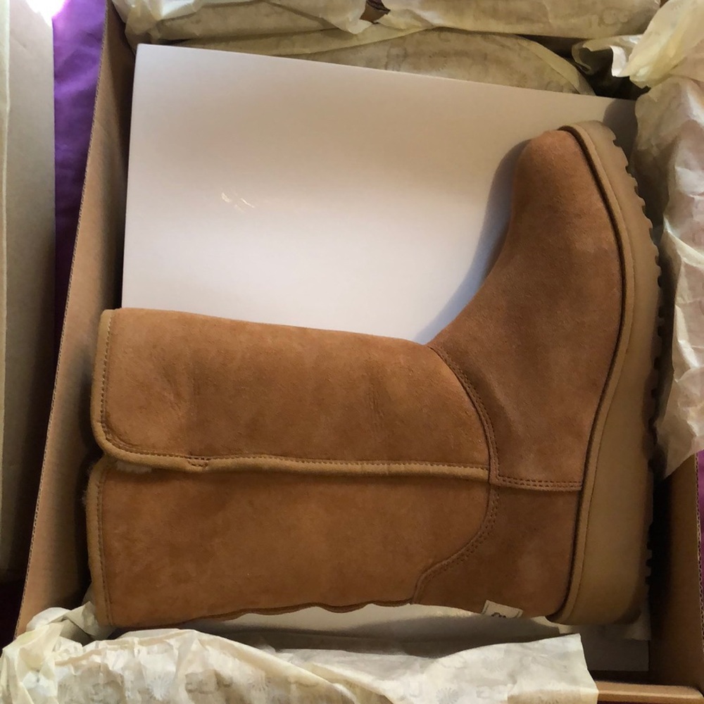 Chestnut Uggs Brand New Size 6